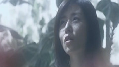 柴田淳 - 白い世界