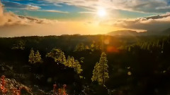 Yanni - One Man'S Dream