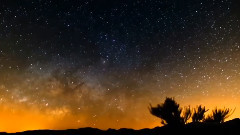 宋冬野 - 莉莉安