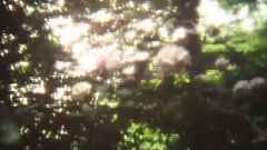 Kashiwa Daisuke - Ohka