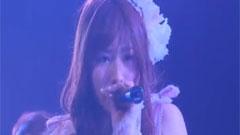 AKB48 - おしべとめしべと夜の蝶々