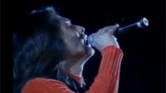 无情的雨无情的你