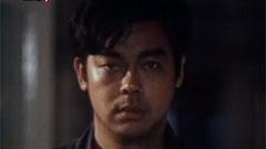 万芳 - 新不了情