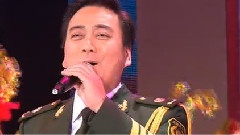 王莹 - 节日欢歌