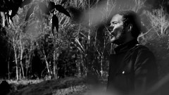 A Jigsaw - Crow Covered Tree