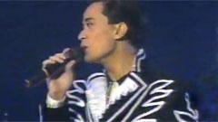 陈汝佳 - 蓝月亮