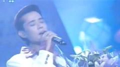 陈汝佳 - 你昨晚哭了吗