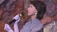 董岱 - 长城脚下一朵花