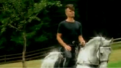 Sting - I'm So Happy I Can't Stop Crying