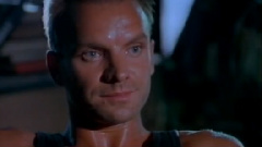 Sting - Fortress Around Your Heart