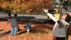 Paul Mauriat - 秋天的钢琴