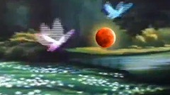 Omar Akram - Run Away With Me