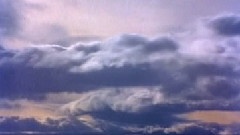 辛晓琪 - 爱上你不只是我的错