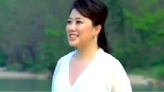 吴娜 - 清风莲韵