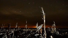 Ryan Farish - Rays Of Light