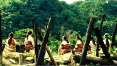 影视原声 - 赛德克巴莱最后的挽歌