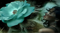 Chris Norman,音乐短片 - Some Hearts Are Diamonds