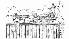 Simon's Cat In Fence