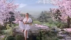 Enigma,音乐短片 - Precious Litlle Diamond & The Roundabout (Trance Mix 2014 Dj Dean Alpohin)