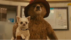 影视原声 - 帕丁顿熊