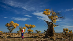 杨沛宜 - Tim Mcgraw