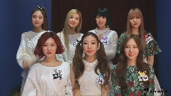 松树出道纪念感谢致辞