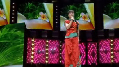 王二妮 - 山丹丹花开红艳艳