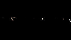 赵咏华 - 我愿赌服输