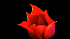 Giovanni Marradi,音乐短片 - Love Makes The World Go Around