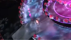 羞嗒嗒的玫瑰静悄悄的开