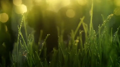 Giovanni Marradi,音乐短片 - Love Story