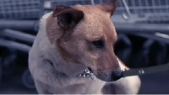 BOKKA - Meet My Shade