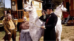 影视原声 - Talk To The Animals