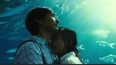 赵薇,王菲 - 致青春 电影《致我们终将逝去的青春》主题曲