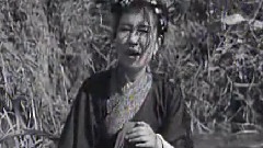 为谁辛苦为谁忙