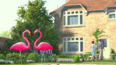 Love Bulids A Garden