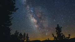 藤田惠美,音乐短片 - Down By The Salley Gardens