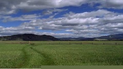 Paul Mauriat - Serenade To Summertime