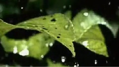 Giovanni Marradi - Raindance