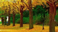 风景,音乐短片 - 日本昭和公园