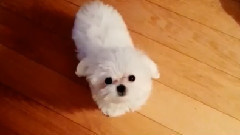 Tiffany(少女时代) - Tiffany Instagram 更新一则