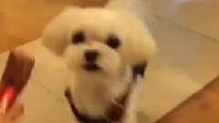 Tiffany(少女时代) - Tiffany Instagram 更新一则