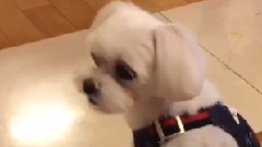 Tiffany(少女时代),Sunny(少女时代) - Tiffany Instagram 更新二则