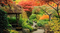 Giovanni Marradi - Garden Of Dreams