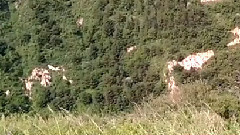 正月十五 - 12356