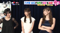 新闻短片:西野七瀬 白石麻衣 生駒里奈访谈