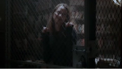 你被写在我的歌里