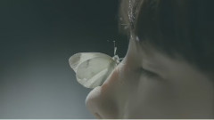 沈昌珉 - Rise As One