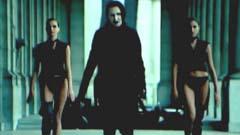 This Is The New Shit