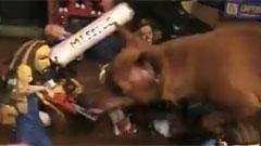 SUM 41 - The Hell Song